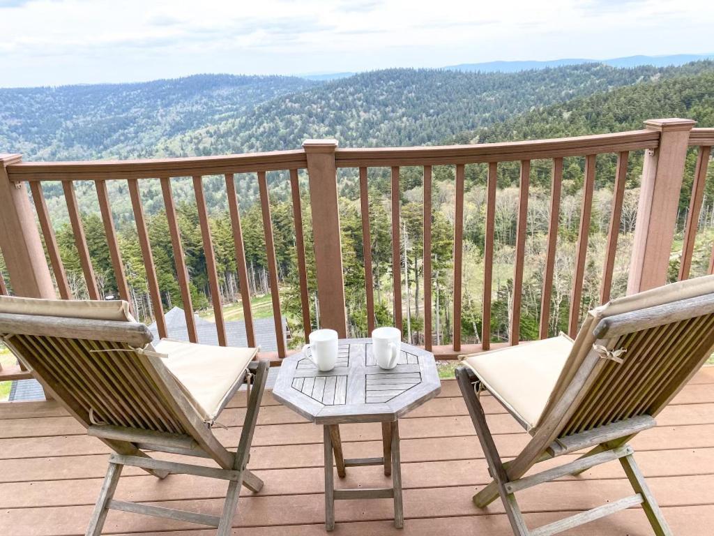 Remodeled Ski In-Out - 305 Soaring Eagle - Luxury! Dunmore Екстер'єр фото